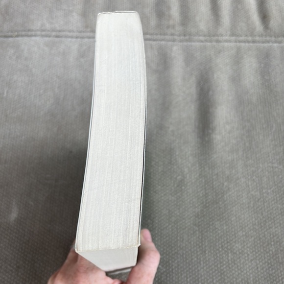 Ysabel - Guy Gavriel Kay. Softcover. Novel. Supernatural. Thriller. - Picture 10 of 10